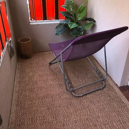 Apartment Grand A Entre Et Hyeres